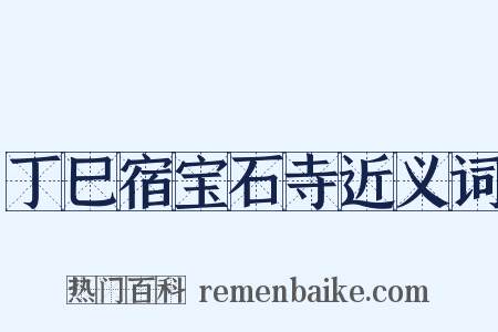 丁巳宿宝石寺近义词是什么意思的图片